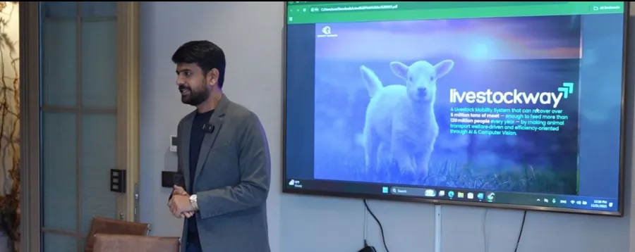 Pitching Livestock Way